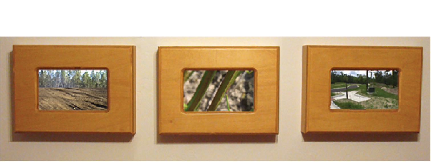 4 images of pice