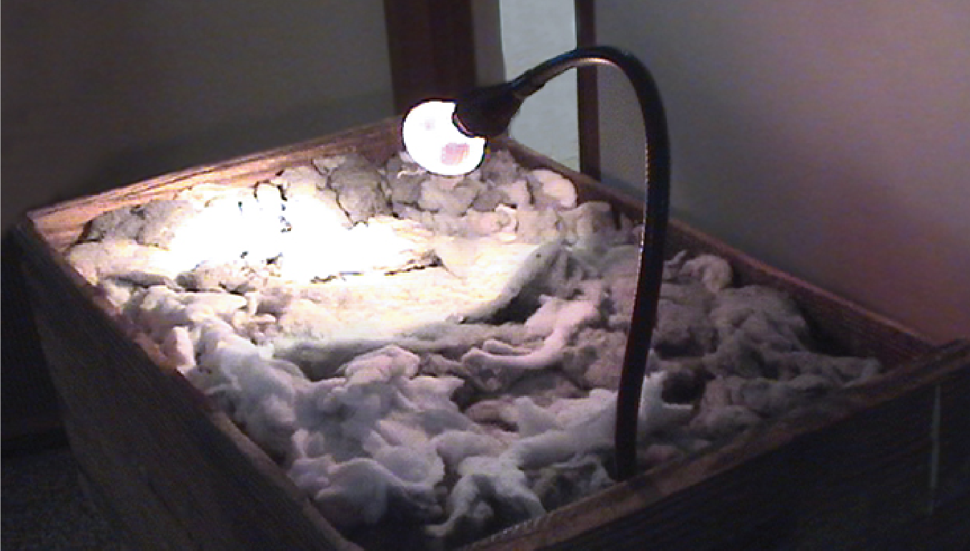 image of box light and lint