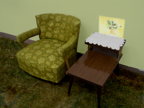 living room set up with chair and end table and carpet; time-lapse video of calathea plant