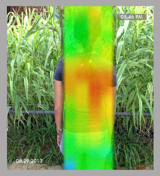 woman's heat signature disappears behind giant reed